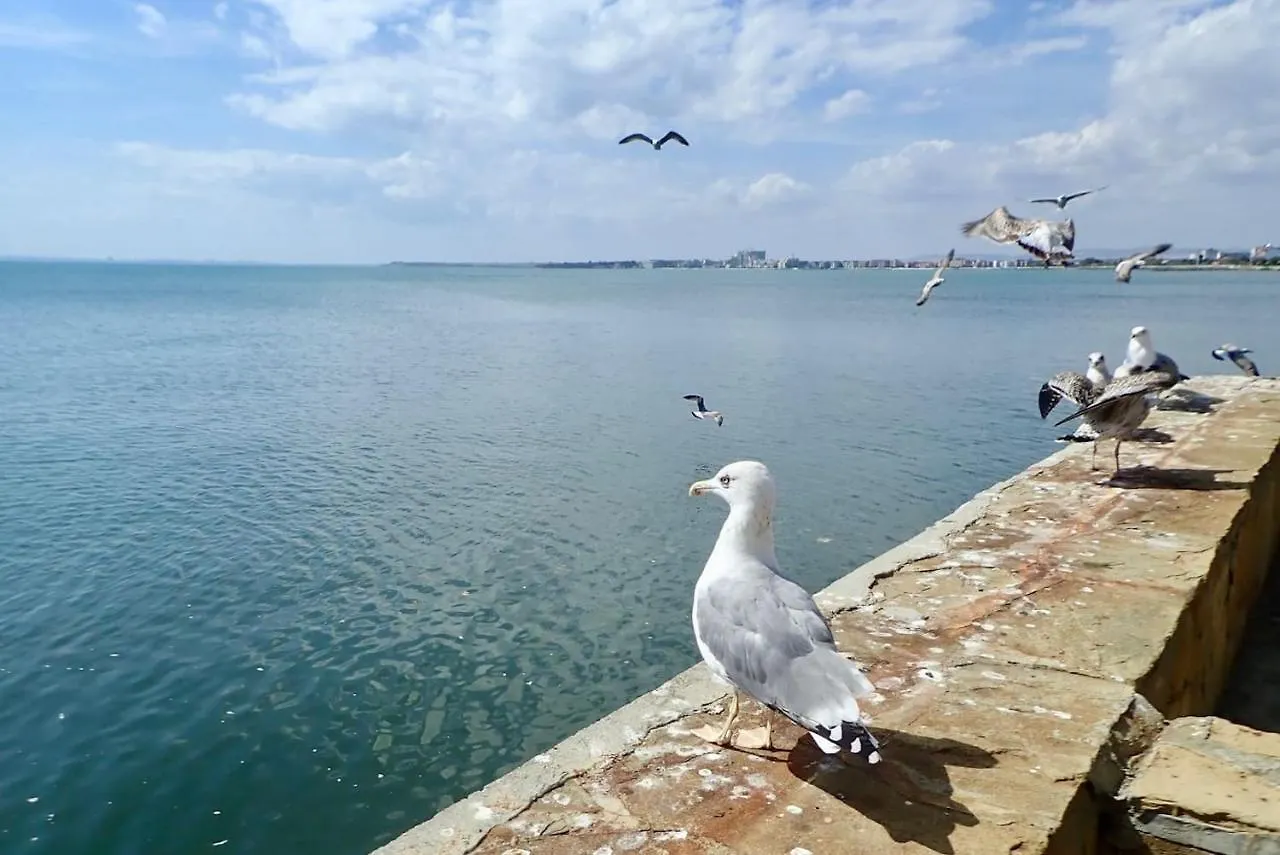 Apartment Private Penthouse With Seaview At Sunset Resort Pomorie Bulgarien