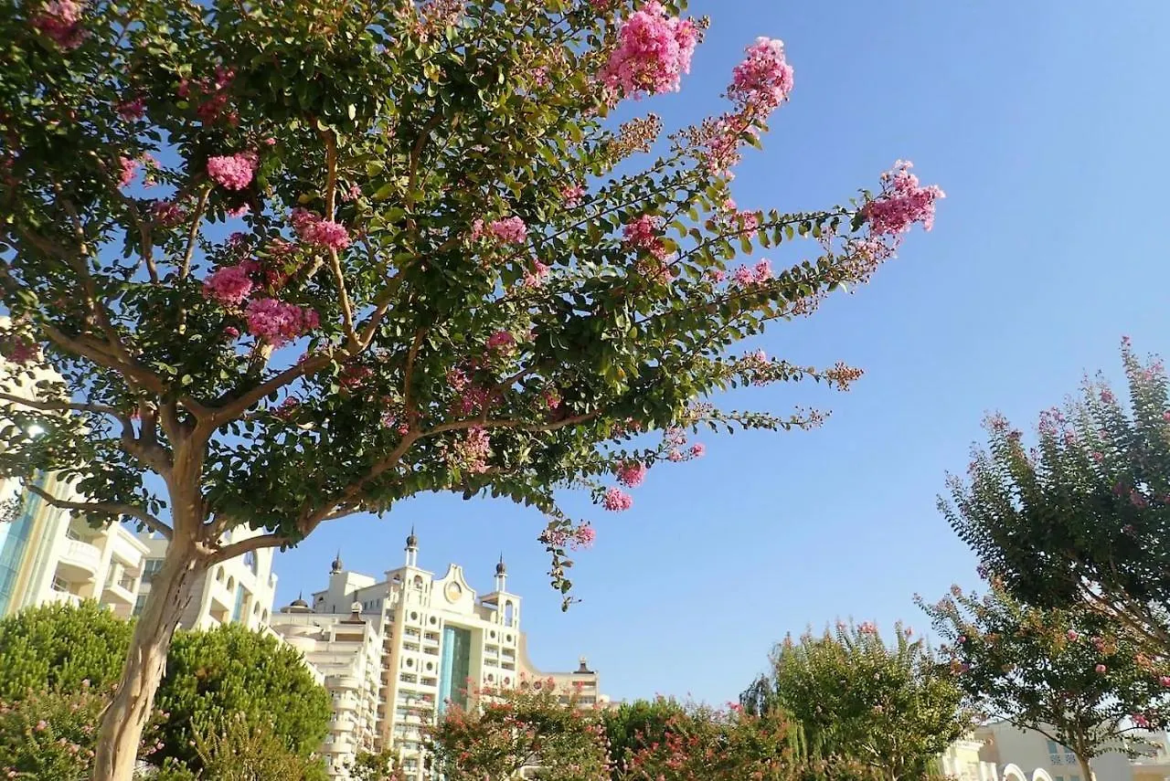 Apartment Private Penthouse With Seaview At Sunset Resort Pomorie Bulgarien
